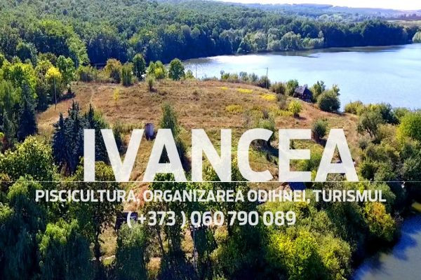 Pescuit cu plată pe lacul Ivancea: confort și diversitate a capturii în raionul Orhei