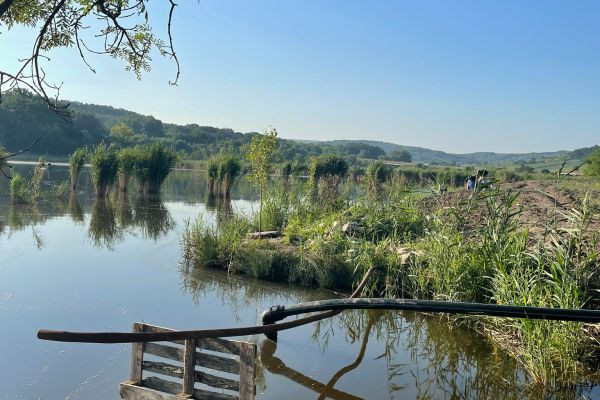 Lacul Gălești: Pescuit Plătit Non-Stop într-un Loc Pitoresc